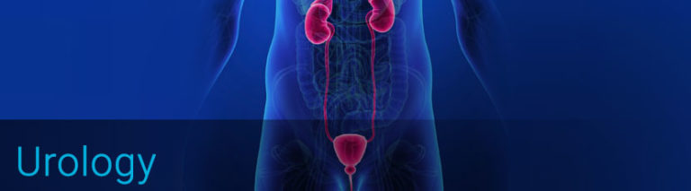 تقدم عيادة د. أسامة عبد الكريم خدمات متخصصة في تشخيص وعلاج أورام المسالك البولية مثل أورام الكلى والمثانة والبروستاتا. يتم تقييم الحالة بدقة باستخدام الفحوصات الحديثة وتحديد الخطة العلاجية المناسبة، بما في ذلك الجراحة والعلاجات المتقدمة، بهدف تحقيق أفضل النتائج الصحية للمريض.